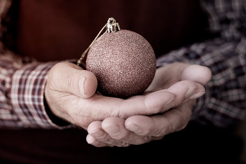 JOYFUL AT HOME: HOW CAREGIVERS MAKE THE HOLIDAYS MERRY AND BRIGHT FOR SENIORS 1 SAFETY SUPPORT